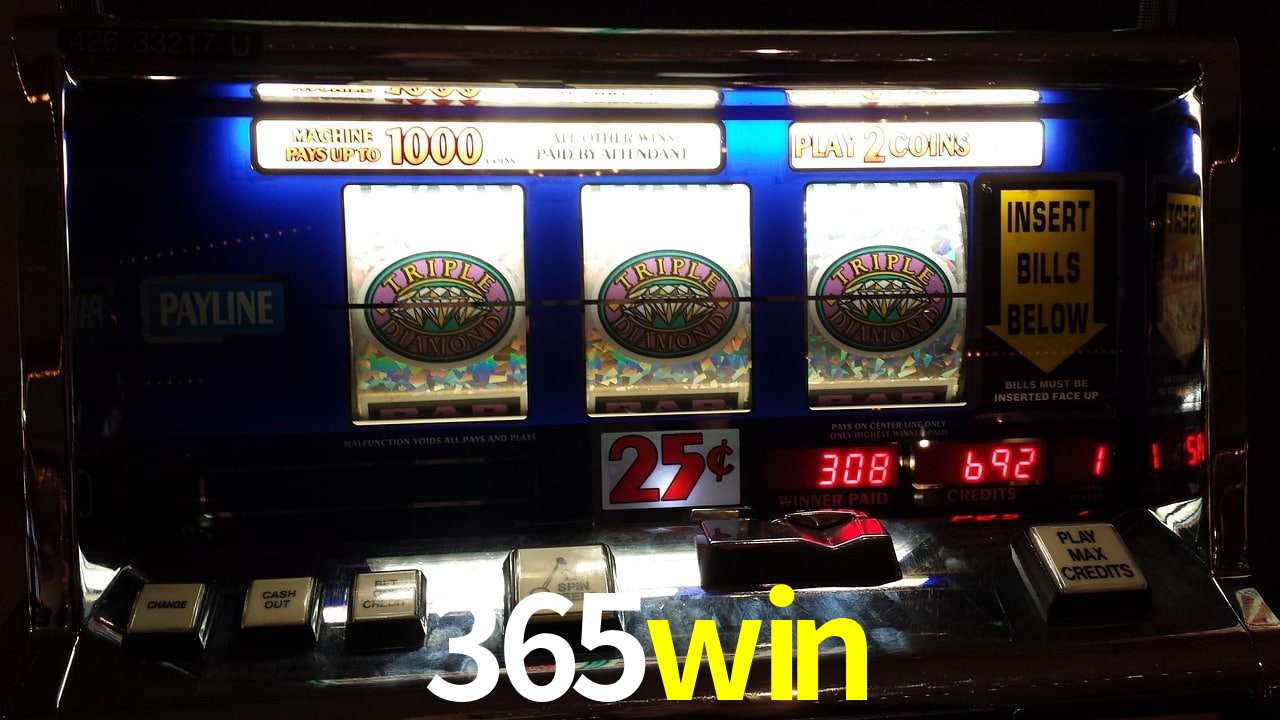 Sports Statistics 365win